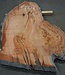 Eucalyptus burl, table top, approx. 1700 x 980 x 52 mm, 11883