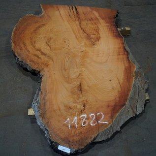 Eucalyptus burl, table top, approx. 1600 x 1050 x 52 mm, 11882