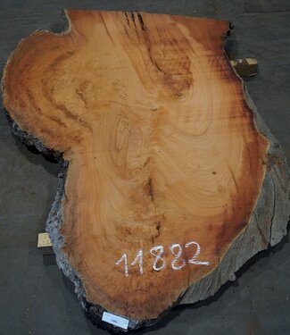 Eucalyptus burl, table top, approx. 1600 x 1050 x 52 mm, 11882