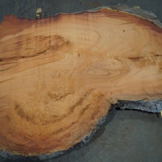 Eucalyptus burl, table top, approx. 1600 x 1050 x 52 mm, 11882