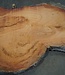 Eucalyptus burl, table top, approx. 1600 x 1050 x 52 mm, 11882