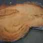 Eucalyptus burl, table top, approx. 1600 x 1050 x 52 mm, 11882