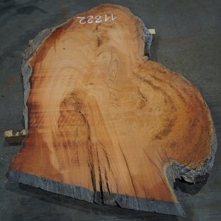 Eucalyptus burl, table top, approx. 1600 x 1050 x 52 mm, 11882