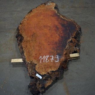 Eucalyptus burl, table top, approx. 1800 x 900 x 52 mm, 11879