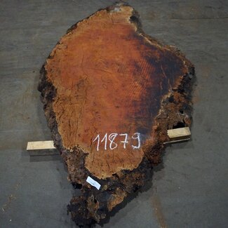 Eucalyptus burl, table top, approx. 1800 x 900 x 52 mm, 11879