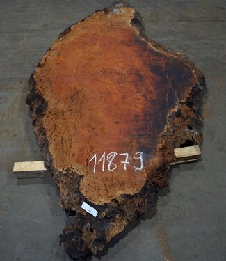 Eucalyptus burl, table top, approx. 1800 x 900 x 52 mm, 11879