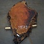 Eucalyptus burl, table top, approx. 1800 x 900 x 52 mm, 11879