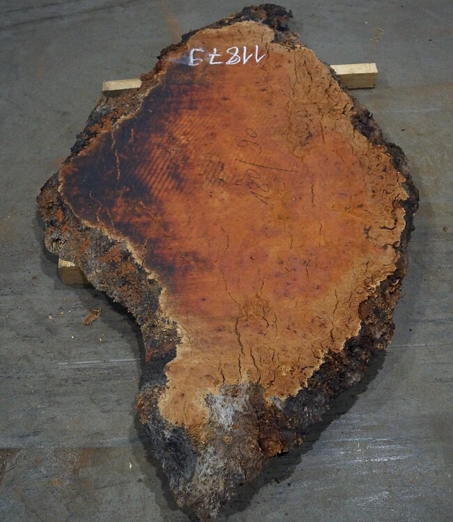 Eucalyptus burl, table top, approx. 1800 x 900 x 52 mm, 11879