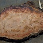 Eucalyptus burl, table top, approx. 2900 x 1220 x 52 mm, 11877