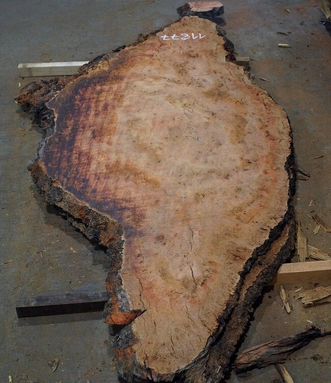 Eucalyptus burl, table top, approx. 2900 x 1220 x 52 mm, 11877