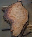 Eucalyptus burl, table top, approx. 2900 x 1220 x 52 mm, 11877