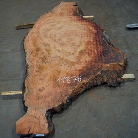 Eukalyptus Maser, Tischplatte, ca. 2900 x 1370 x 52 mm, 11876