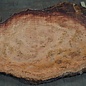 Eucalyptus burl, table top, approx. 2900 x 1370 x 52 mm, 11876