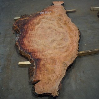 Eucalyptus burl, table top, approx. 2900 x 1370 x 52 mm, 11876