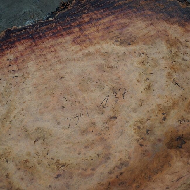 Eucalyptus burl, table top, approx. 2900 x 1370 x 52 mm, 11876