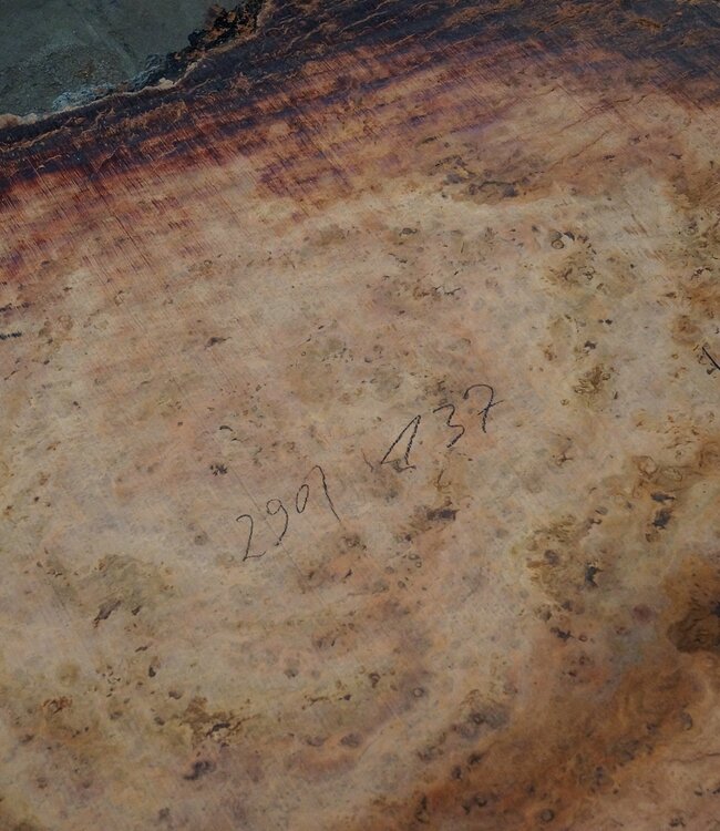 Eukalyptus Maser, Tischplatte, ca. 2900 x 1370 x 52 mm, 11876