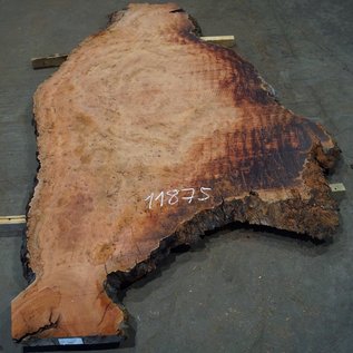 Eucalyptus burl, table top, approx. 2800 x 1520 x 52 mm, 11875