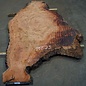 Eucalyptus burl, table top, approx. 2800 x 1520 x 52 mm, 11875