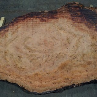 Eucalyptus burl, table top, approx. 2800 x 1520 x 52 mm, 11875