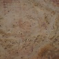 Eucalyptus burl, table top, approx. 2800 x 1520 x 52 mm, 11875