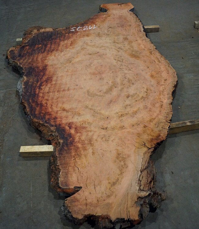 Eukalyptus Maser, Tischplatte, ca. 2800 x 1520 x 52 mm, 11875