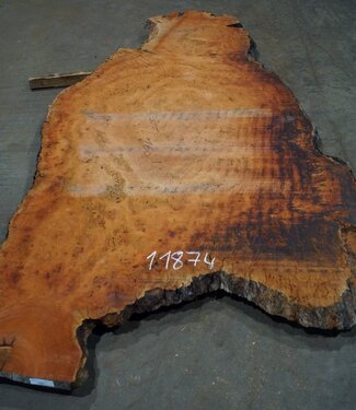 Eucalyptus burl, table top, approx. 3000 x 1600 x 52 mm, 11874