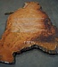 Eucalyptus burl, table top, approx. 3000 x 1600 x 52 mm, 11874