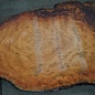 Eucalyptus burl, table top, approx. 3000 x 1600 x 52 mm, 11874