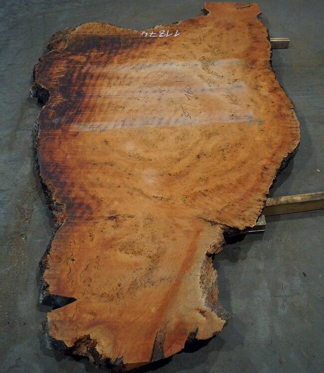 Eucalyptus burl, table top, approx. 3000 x 1600 x 52 mm, 11874