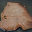 Eucalyptus burl, table top, approx. 2900 x 1830 x 52 mm, 11872