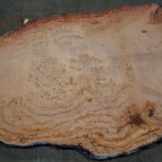 Eucalyptus burl, table top, approx. 2900 x 1830 x 52 mm, 11872