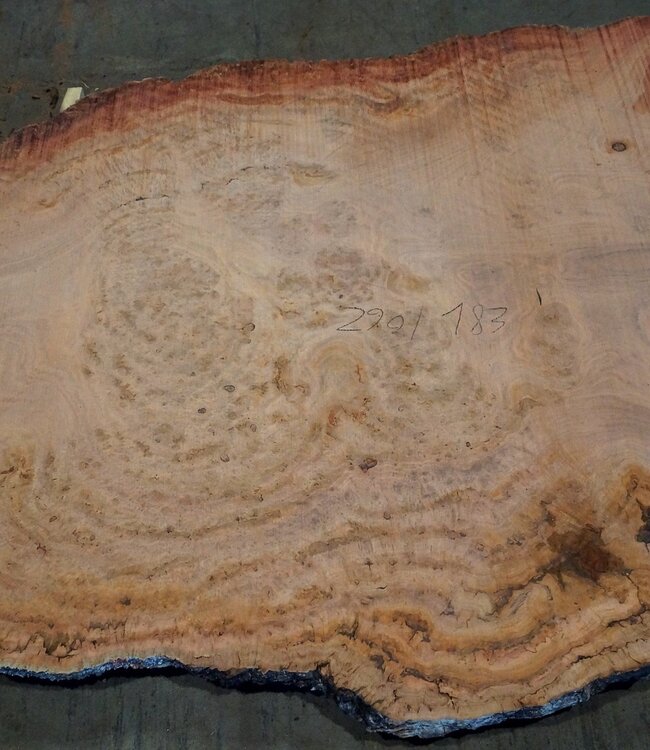 Eucalyptus burl, table top, approx. 2900 x 1830 x 52 mm, 11872