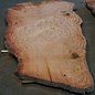 Eucalyptus burl, table top, approx. 2900 x 1830 x 52 mm, 11872