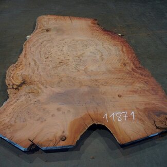 Eucalyptus burl, table top, approx. 2900 x 1800 x 52 mm, 11871