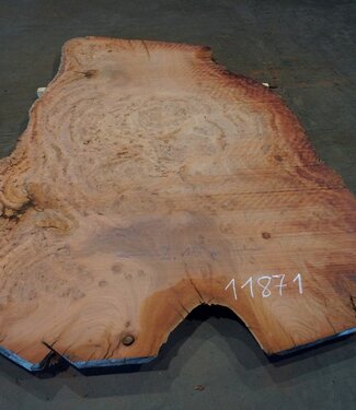 Eucalyptus burl, table top, approx. 2900 x 1800 x 52 mm, 11871