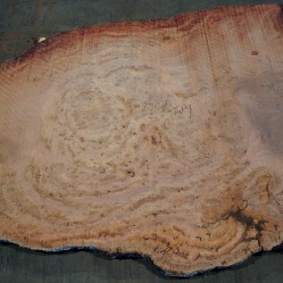 Eucalyptus burl, table top, approx. 2900 x 1800 x 52 mm, 11871