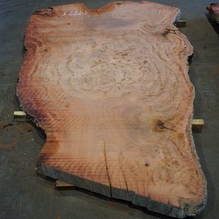 Eucalyptus burl, table top, approx. 2900 x 1800 x 52 mm, 11871