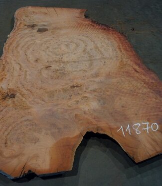 Eucalyptus burl, table top, approx. 2900 x 1800 x 52 mm, 11870