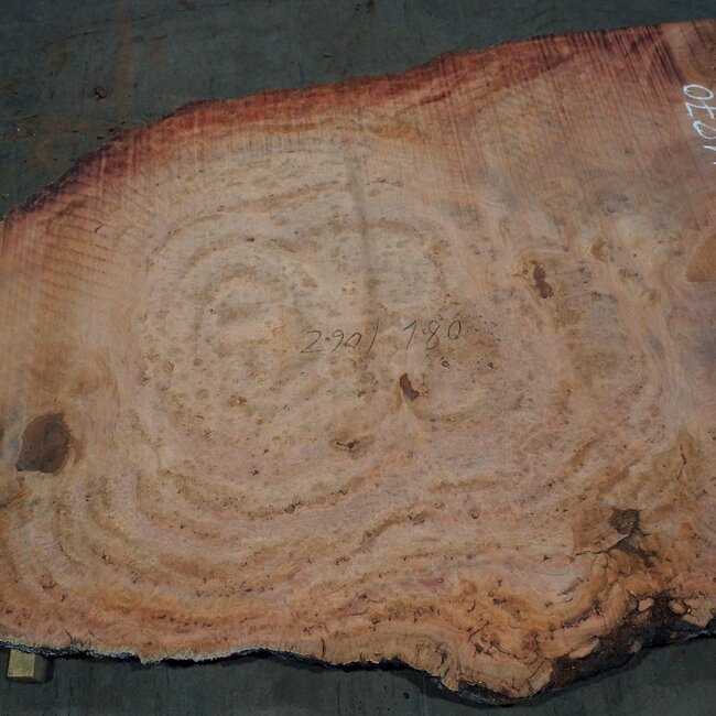 Eukalyptus Maser, Tischplatte, ca. 2900 x 1800 x 52 mm, 11870