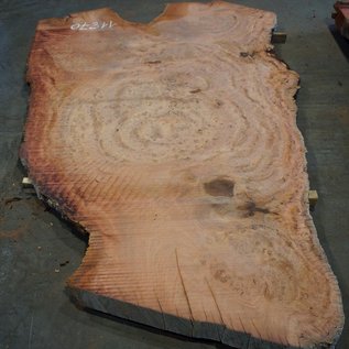 Eucalyptus burl, table top, approx. 2900 x 1800 x 52 mm, 11870