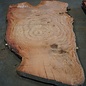 Eucalyptus burl, table top, approx. 2900 x 1800 x 52 mm, 11870