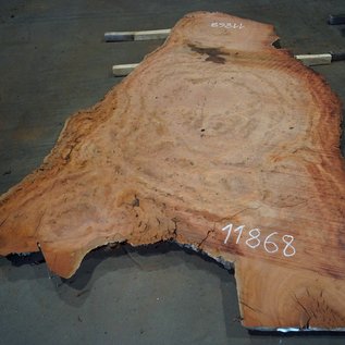 Eucalyptus burl, table top, approx. 2900 x 1750 x 52 mm, 11868