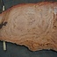 Eucalyptus burl, table top, approx. 2900 x 1750 x 52 mm, 11868