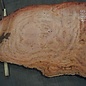 Eucalyptus burl, table top, approx. 2900 x 1750 x 52 mm, 11868