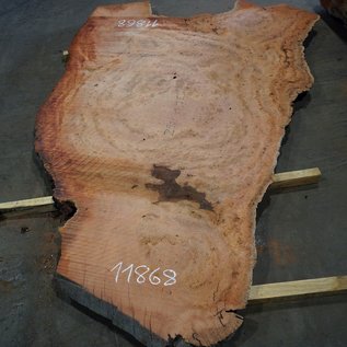 Eucalyptus burl, table top, approx. 2900 x 1750 x 52 mm, 11868