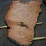Eucalyptus burl, table top, approx. 2900 x 1750 x 52 mm, 11868