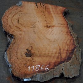 Eucalyptus burl, table top, approx. 1800 x 1110 x 52 mm, 11866