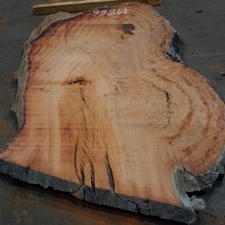 Eucalyptus burl, table top, approx. 1800 x 1110 x 52 mm, 11866