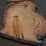 Eucalyptus burl, table top, approx. 1800 x 1110 x 52 mm, 11866