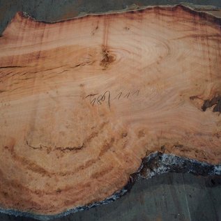 Eucalyptus burl, table top, approx. 1800 x 1110 x 52 mm, 11866